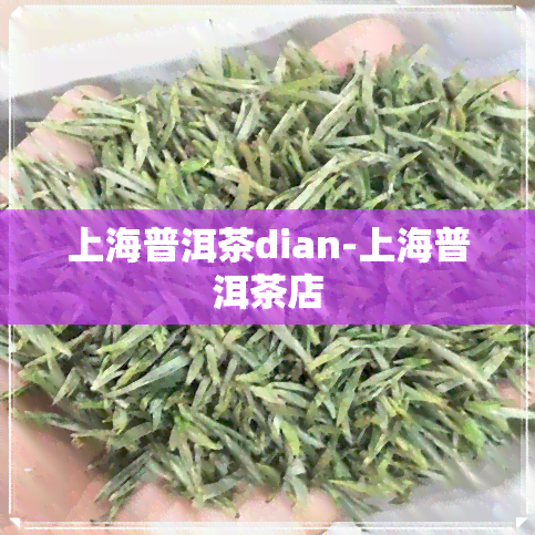 上海普洱茶dian-上海普洱茶店