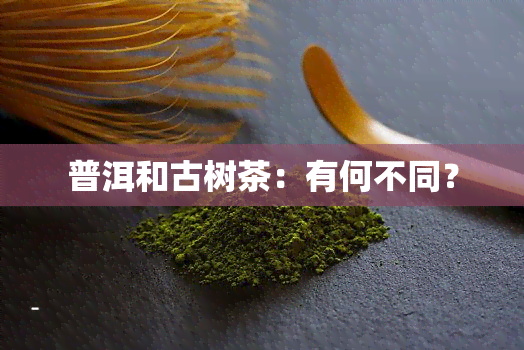 普洱和古树茶：有何不同？