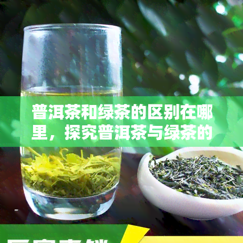 普洱茶和绿茶的区别在哪里，探究普洱茶与绿茶的差异：从产地、制作工艺到口感特点的全面对比