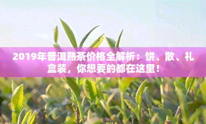 2019年普洱熟茶价格全解析：饼、散、礼盒装，你想要的都在这里！