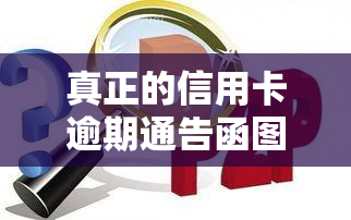 真正的信用卡逾期通告函图片，真实案例：警惕！你可能收到的信用卡逾期通知书图片揭露惊人事实