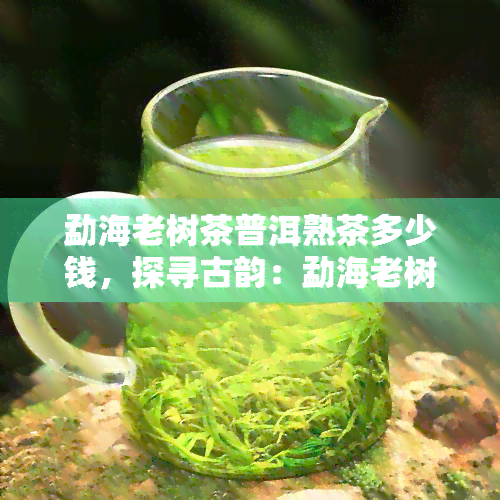 勐海老树茶普洱熟茶多少钱，探寻古韵：勐海老树茶普洱熟茶的价格解析