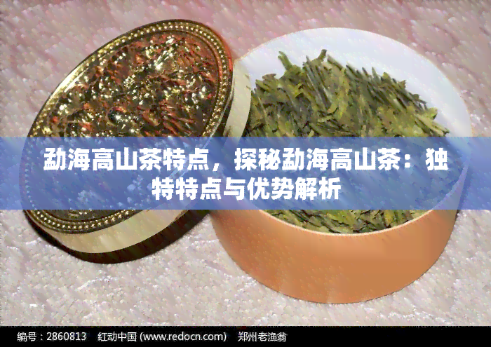 勐海高山茶特点，探秘勐海高山茶：独特特点与优势解析