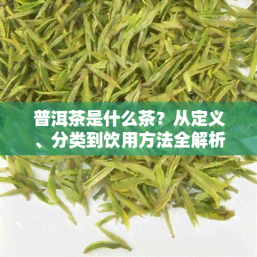 普洱茶是什么茶？从定义、分类到饮用方法全解析