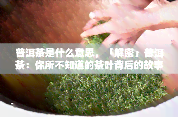 普洱茶是什么意思，「解密」普洱茶：你所不知道的茶叶背后的故事