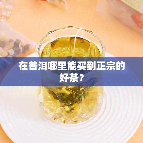 在普洱哪里能买到正宗的好茶？