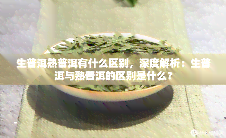 生普洱熟普洱有什么区别，深度解析：生普洱与熟普洱的区别是什么？