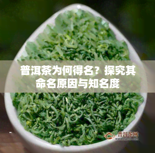 普洱茶为何得名？探究其命名原因与知名度