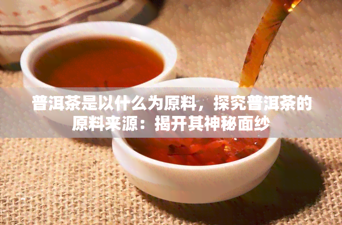 普洱茶是以什么为原料，探究普洱茶的原料来源：揭开其神秘面纱