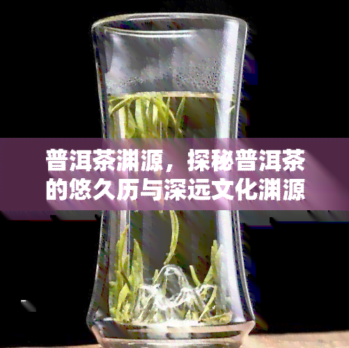 普洱茶渊源，探秘普洱茶的悠久历与深远文化渊源