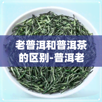 老普洱和普洱茶的区别-普洱老茶怎么区别