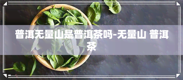 普洱无量山是普洱茶吗-无量山 普洱茶