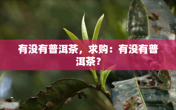 有没有普洱茶，求购：有没有普洱茶？