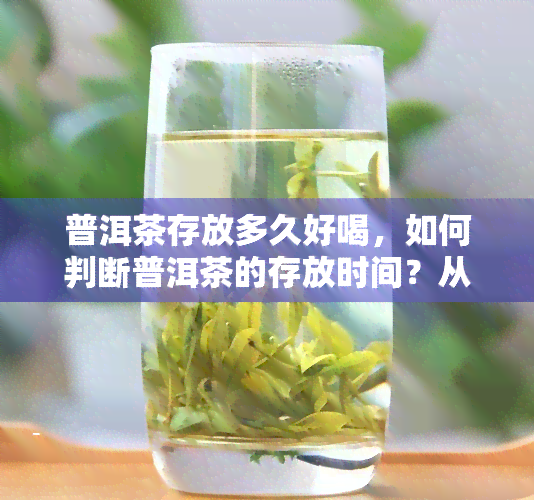 普洱茶存放多久好喝，如何判断普洱茶的存放时间？从口感到健，你需要知道的一切！