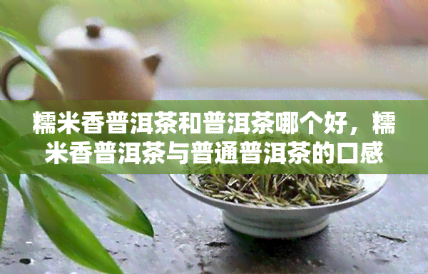 糯米香普洱茶和普洱茶哪个好，糯米香普洱茶与普通普洱茶的口感对比，哪一款更胜一筹？