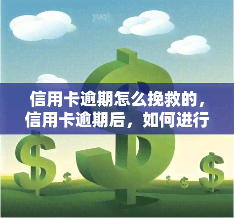 信用卡逾期怎么挽救的，信用卡逾期后，如何进行有效的挽救措？