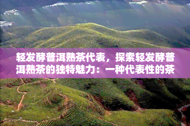 轻发酵普洱熟茶代表，探索轻发酵普洱熟茶的独特魅力：一种代表性的茶叶品种