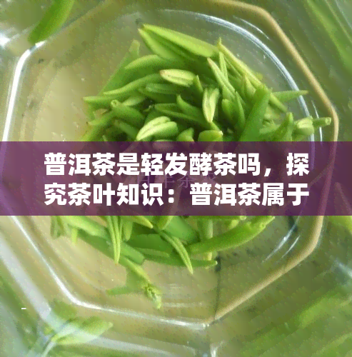 普洱茶是轻发酵茶吗，探究茶叶知识：普洱茶属于轻发酵茶吗？