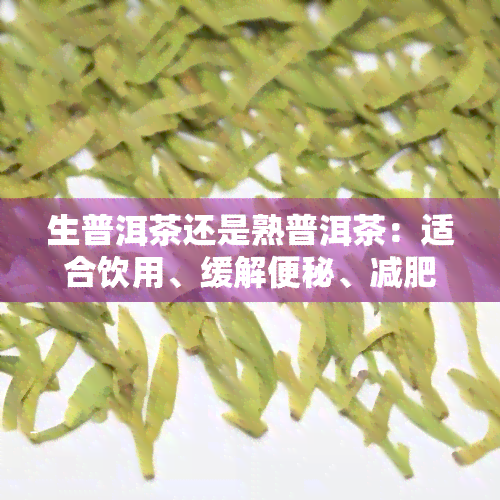 生普洱茶还是熟普洱茶：适合饮用、缓解便秘、减肥效果、口感及对胃部的影响？