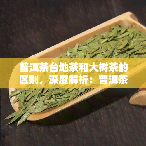 普洱茶台地茶和大树茶的区别，深度解析：普洱茶台地茶与大树茶的显著区别