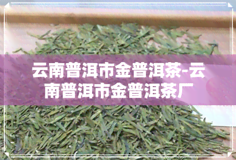 云南普洱市金普洱茶-云南普洱市金普洱茶厂