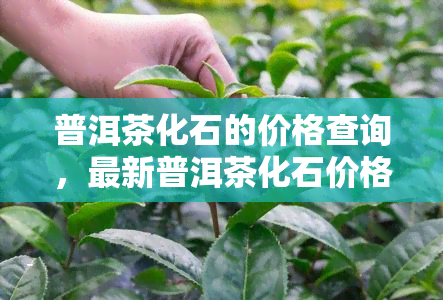 普洱茶化石的价格查询，最新普洱茶化石价格查询，一站式获取市场行情！