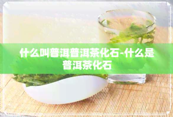 什么叫普洱普洱茶化石-什么是普洱茶化石