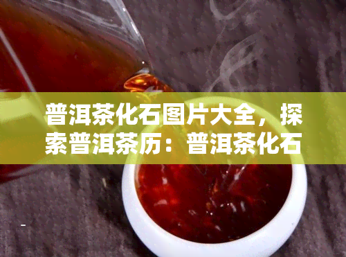 普洱茶化石图片大全，探索普洱茶历：普洱茶化石图片大全