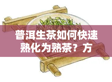 普洱生茶如何快速熟化为熟茶？方法解析