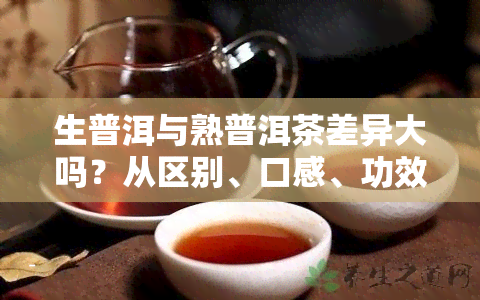 生普洱与熟普洱茶差异大吗？从区别、口感、功效全面解析