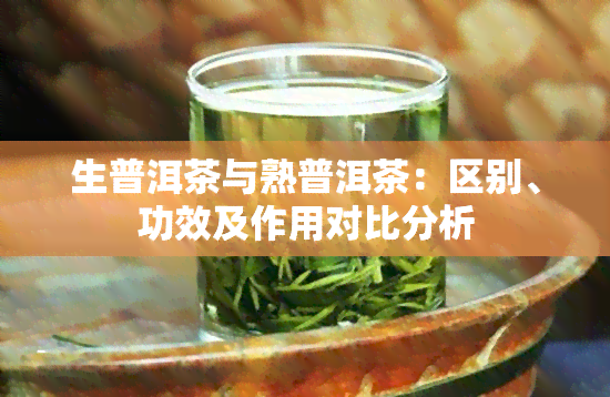 生普洱茶与熟普洱茶：区别、功效及作用对比分析