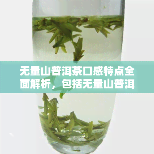 无量山普洱茶口感特点全面解析，包括无量山普洱生茶、熟茶价格及品质评价。