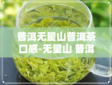 普洱无量山普洱茶口感-无量山 普洱茶