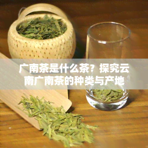 广南茶是什么茶？探究云南广南茶的种类与产地