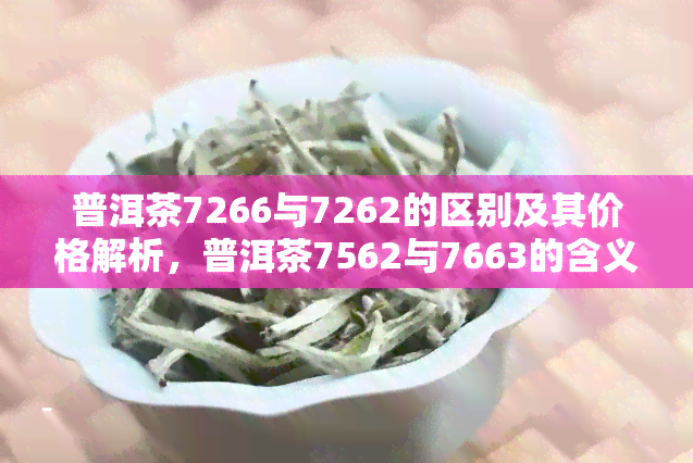 普洱茶7266与7262的区别及其价格解析，普洱茶7562与7663的含义解读