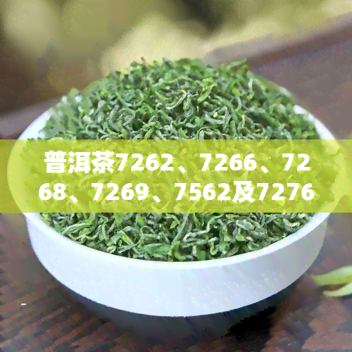 普洱茶7262、7266、7268、7269、7562及7276的价格全解析：72626是什么价？