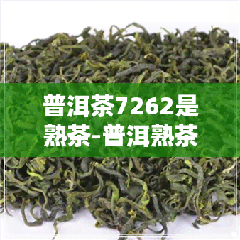 普洱茶7262是熟茶-普洱熟茶7262什么意思