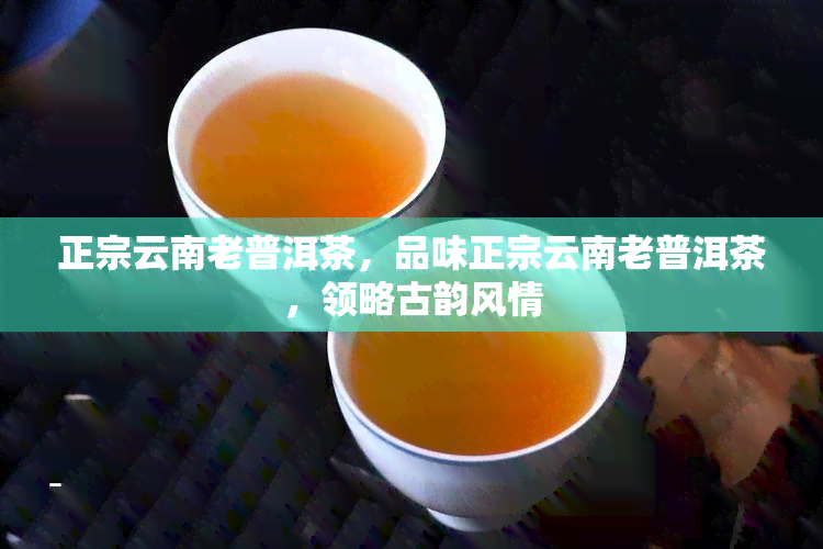 正宗云南老普洱茶，品味正宗云南老普洱茶，领略古韵风情