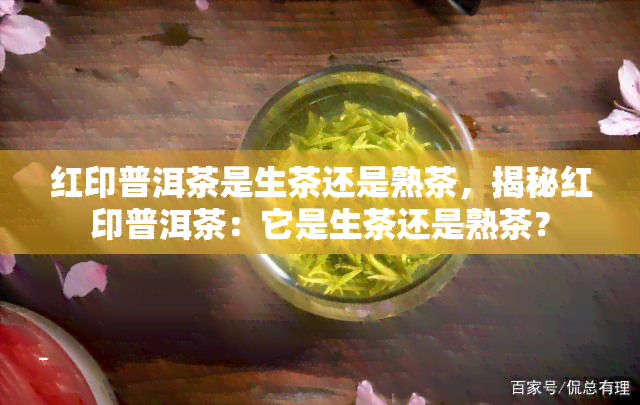 红印普洱茶是生茶还是熟茶，揭秘红印普洱茶：它是生茶还是熟茶？