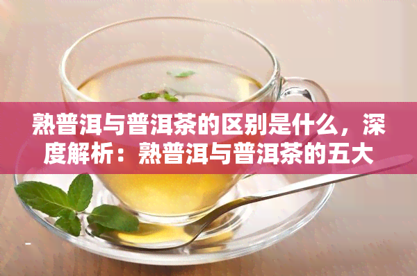 熟普洱与普洱茶的区别是什么，深度解析：熟普洱与普洱茶的五大区别，你了解吗？