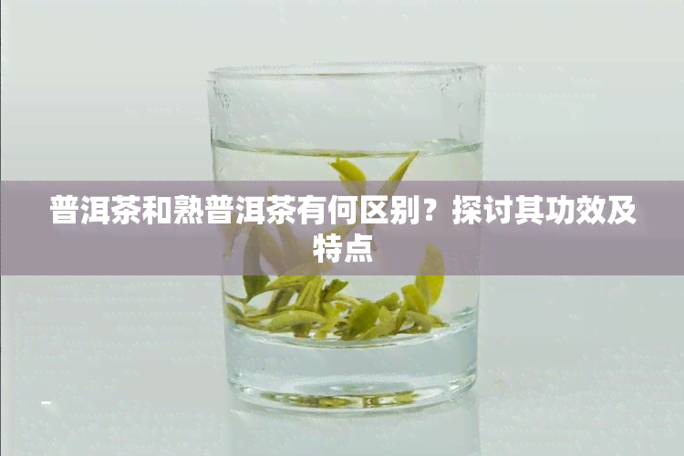 普洱茶和熟普洱茶有何区别？探讨其功效及特点