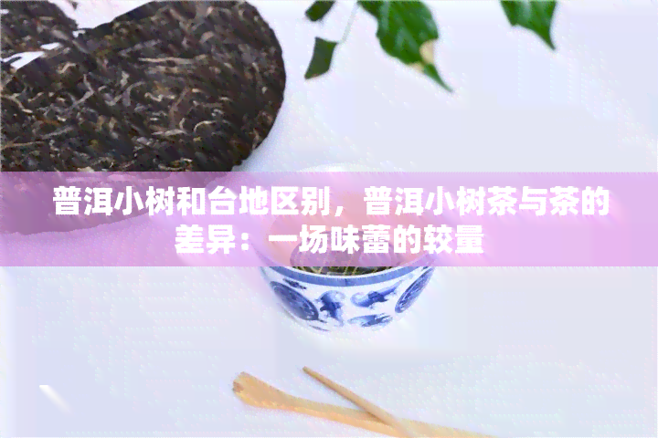 普洱小树和台地区别，普洱小树茶与茶的差异：一场味蕾的较量