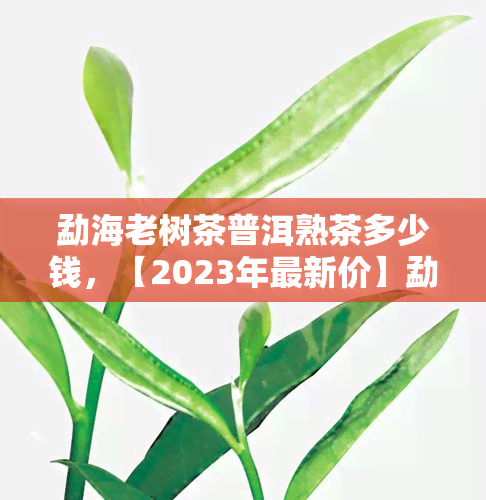 勐海老树茶普洱熟茶多少钱，【2023年最新价】勐海老树茶普洱熟茶价格表，品质好喝的茶叶值得收藏！