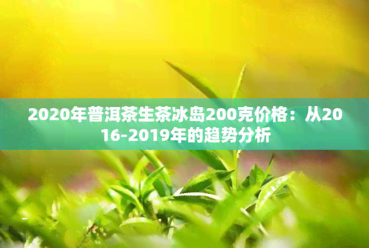 2020年普洱茶生茶冰岛200克价格：从2016-2019年的趋势分析