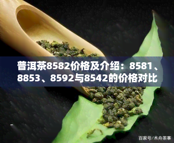 普洱茶8582价格及介绍：8581、8853、8592与8542的价格对比