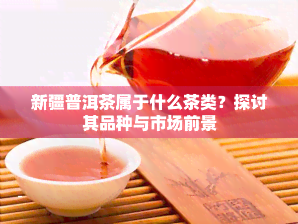 新疆普洱茶属于什么茶类？探讨其品种与市场前景