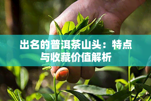 出名的普洱茶山头：特点与收藏价值解析