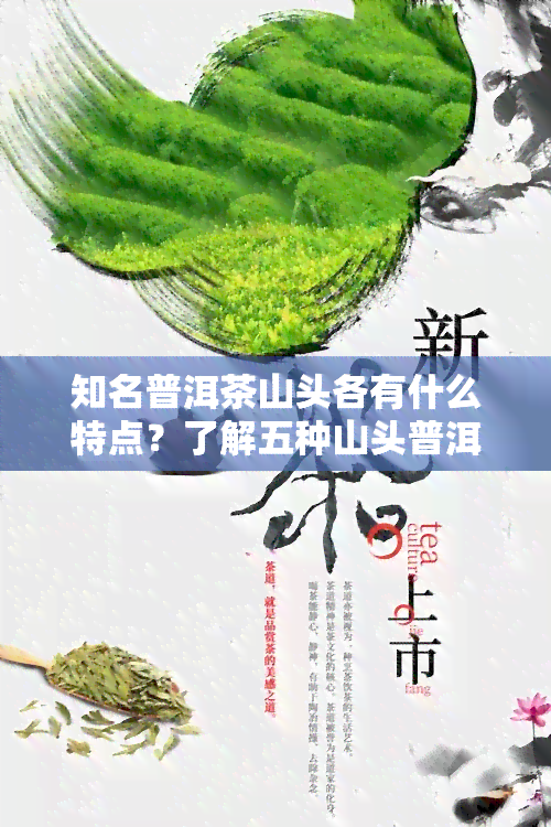 知名普洱茶山头各有什么特点？了解五种山头普洱茶的独特风味与特性