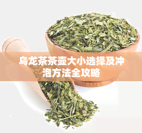 乌龙茶茶壶大小选择及冲泡方法全攻略