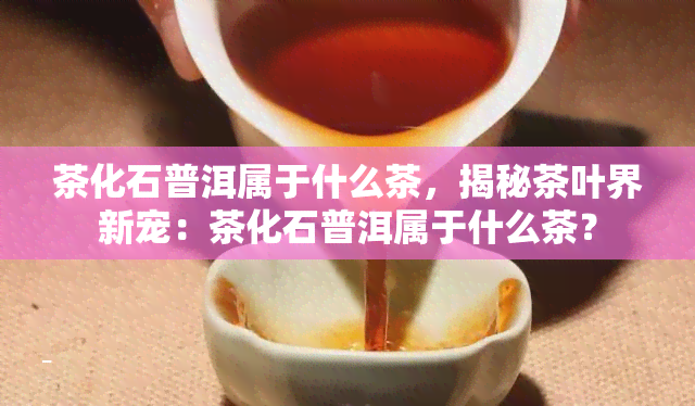 茶化石普洱属于什么茶，揭秘茶叶界新宠：茶化石普洱属于什么茶？